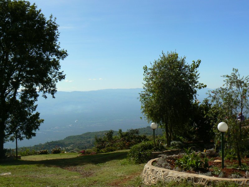 P1020073.JPG