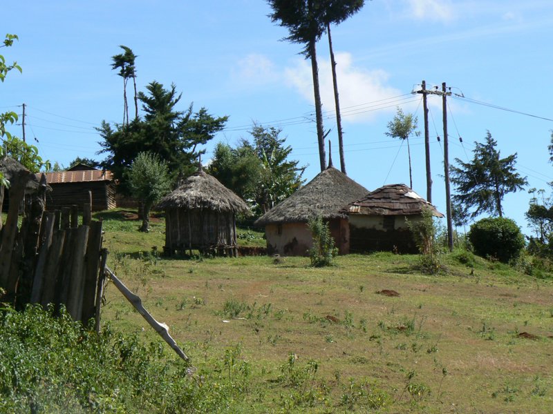 P1020088.JPG