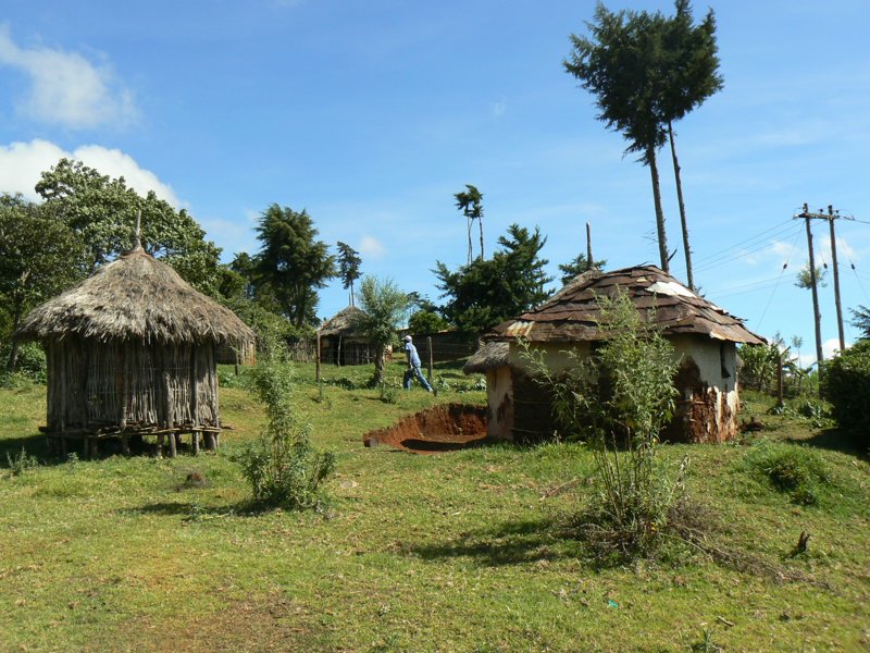 P1020093.JPG