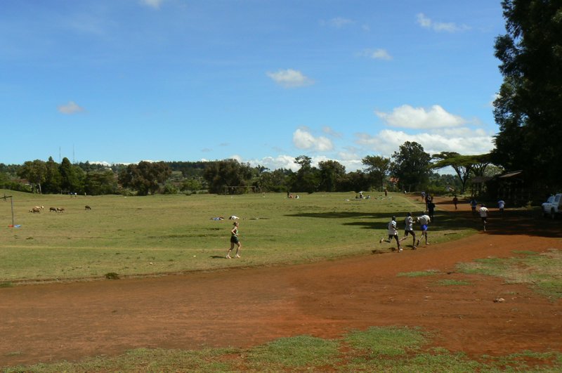 P1020105.JPG