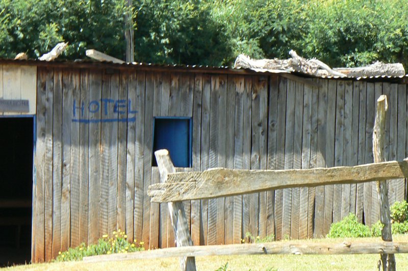 P1020141.JPG