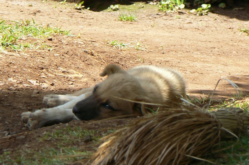 P1020153.JPG