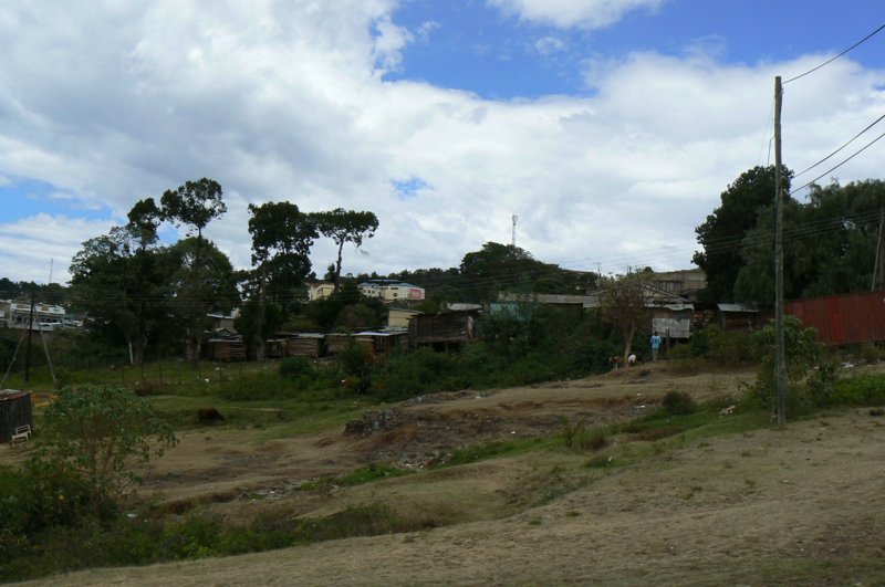P1020167.JPG