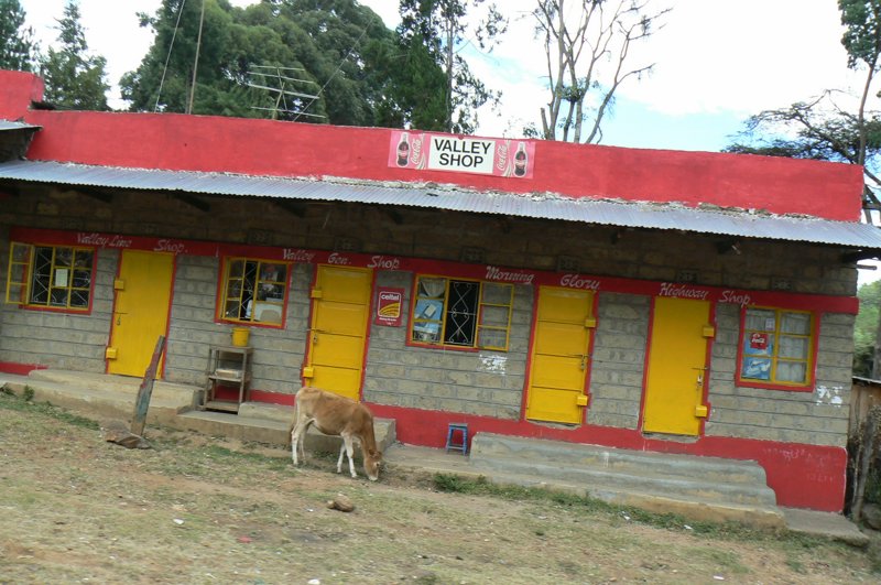 P1020168.JPG