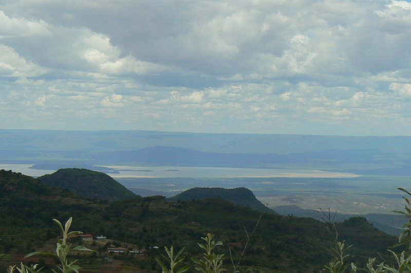 P1020194.JPG