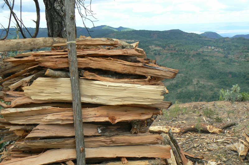 P1020197.JPG