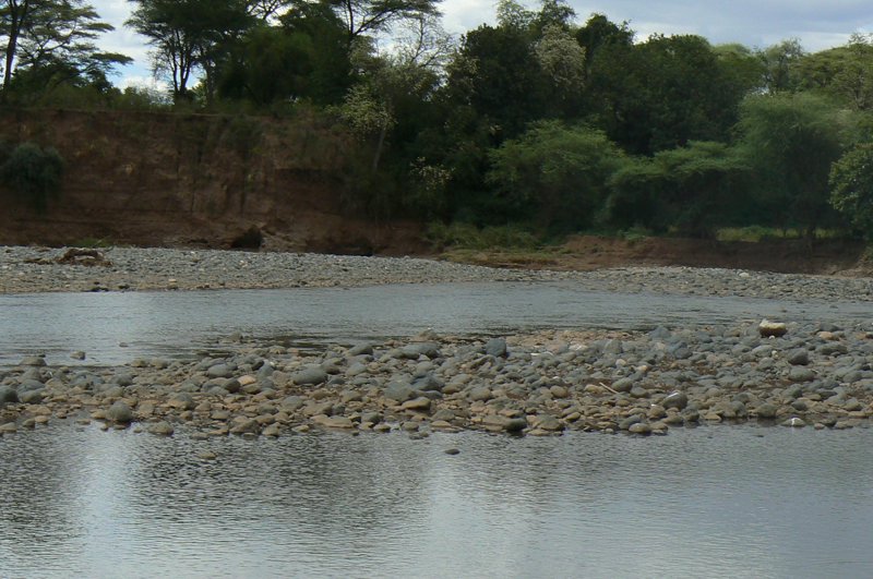 P1020210.JPG