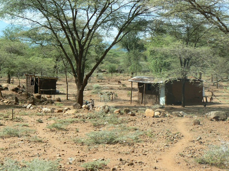P1020232.JPG