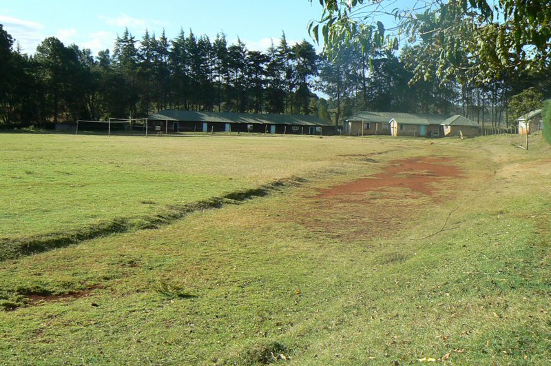 P1020252.JPG