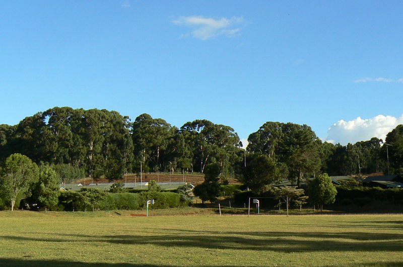 P1020264.JPG