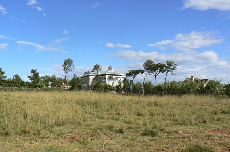 P1020373.JPG