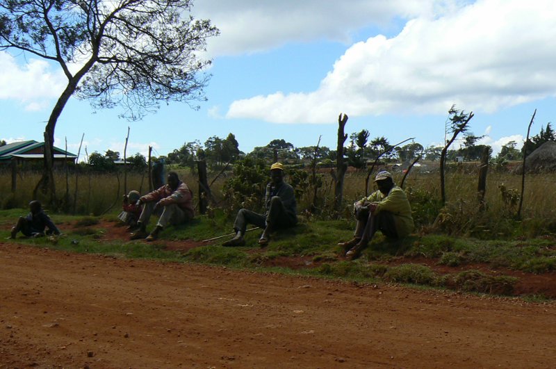 P1020446.JPG