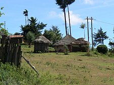 P1020088.JPG