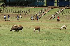 P1020125.JPG