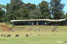 P1020127.JPG