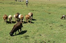 P1020132.JPG