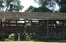 P1020134.JPG