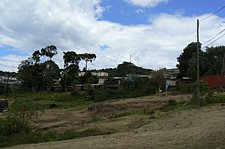 P1020167.JPG
