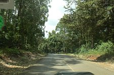 P1020193.JPG
