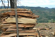 P1020197.JPG