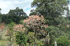 P1020208.JPG