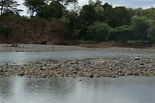 P1020210.JPG