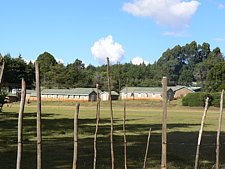 P1020241.JPG