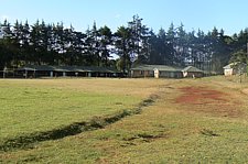 P1020255.JPG