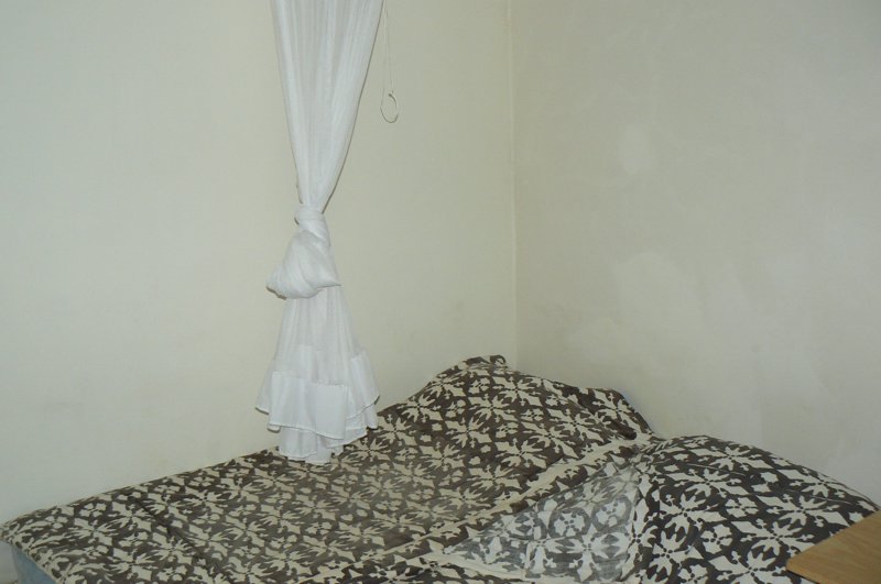 P1020516.JPG