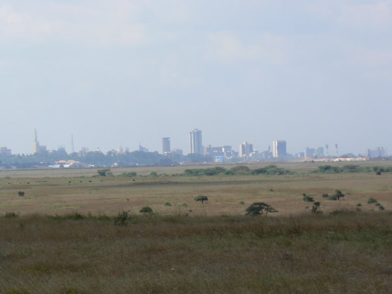 P1020586.JPG