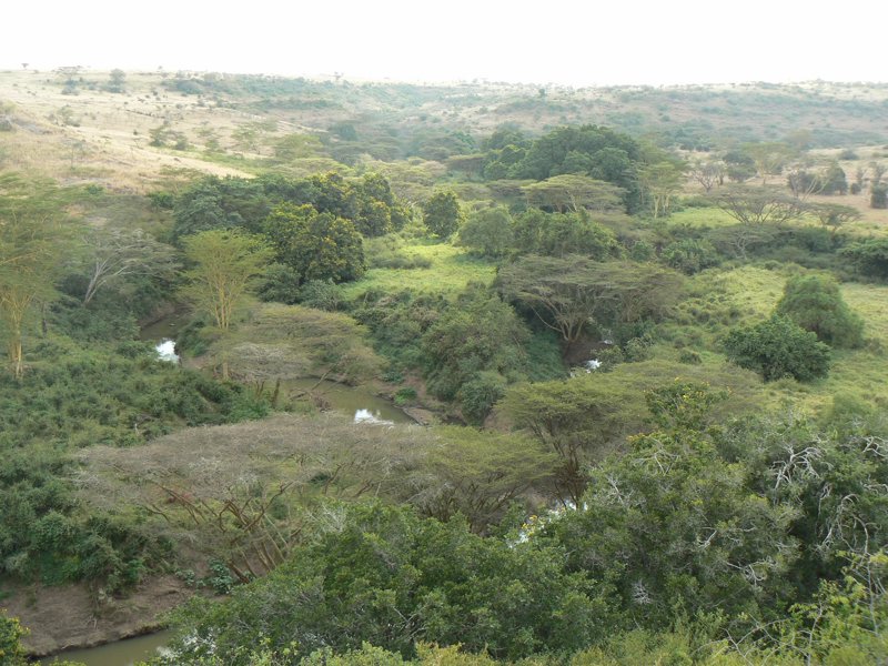 P1020605.JPG