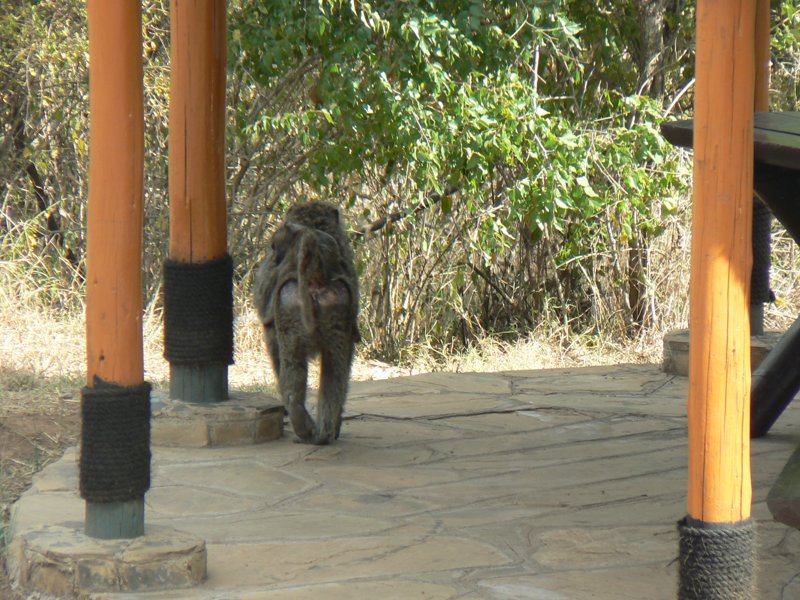 P1020615.JPG