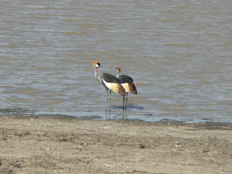 P1020627.JPG