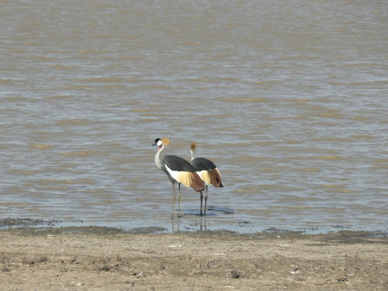 P1020629.JPG