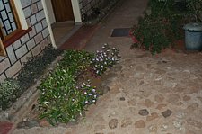 P1020510.JPG