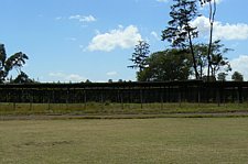 P1020531.JPG