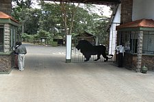 P1020573.JPG