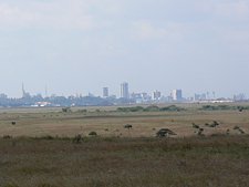 P1020586.JPG