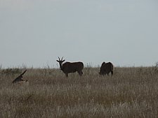 P1020634.JPG