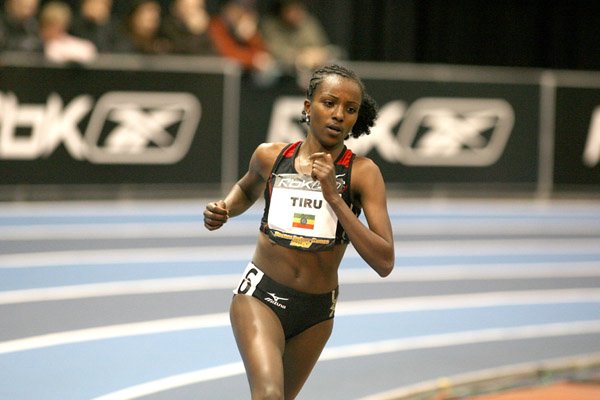 Dibaba_TiruneshH.JPG