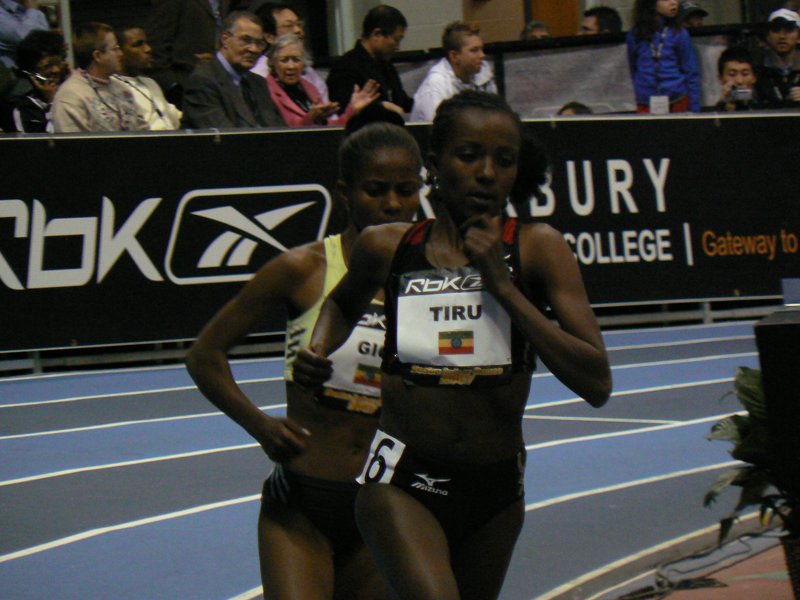 P1000521.JPG