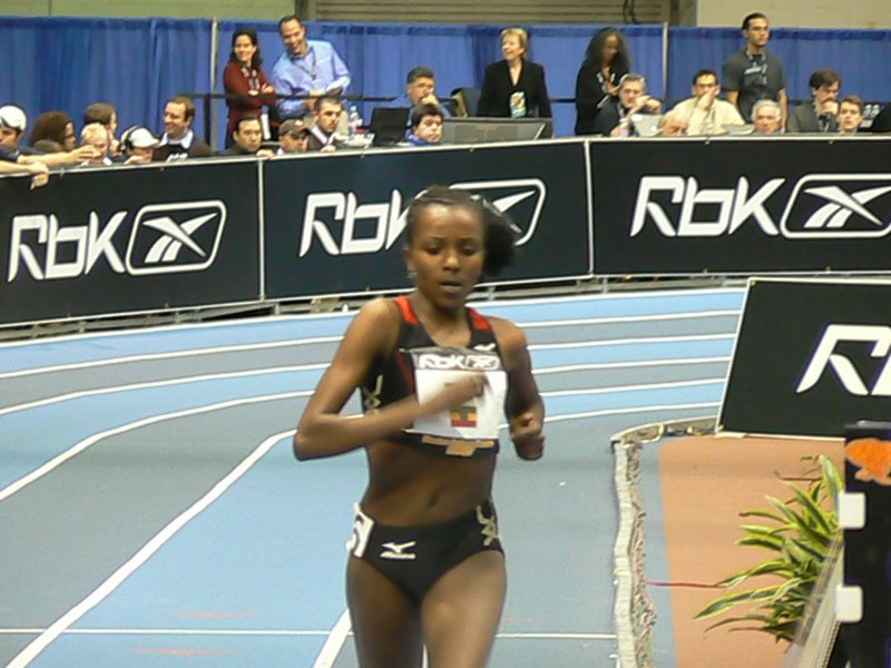 P1000530.JPG