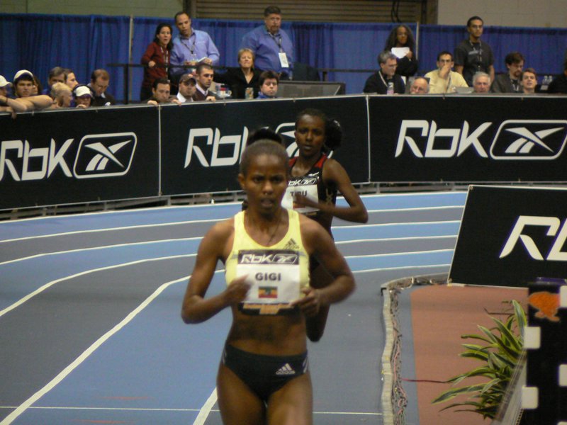 P1000532.JPG