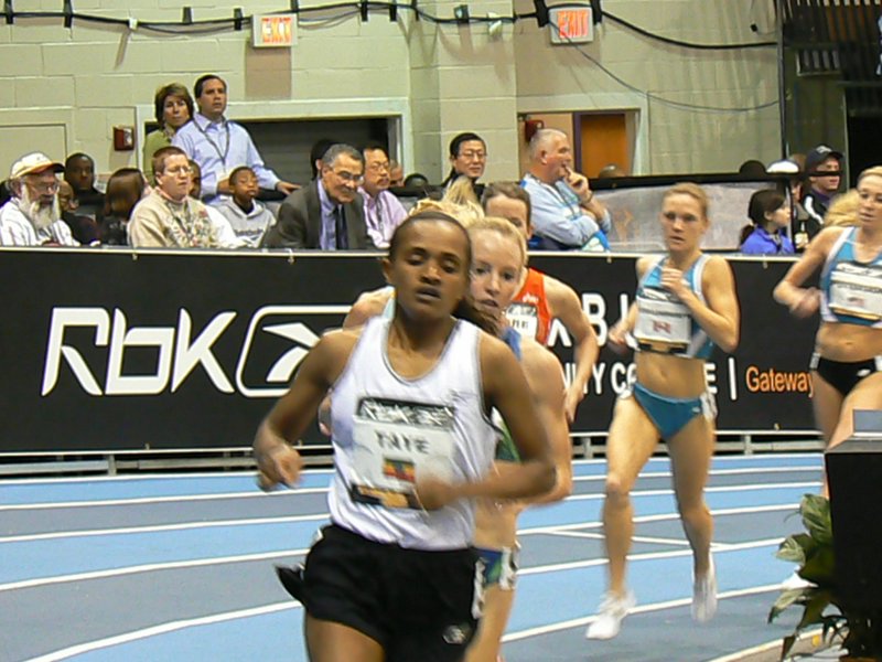 P1000662.JPG