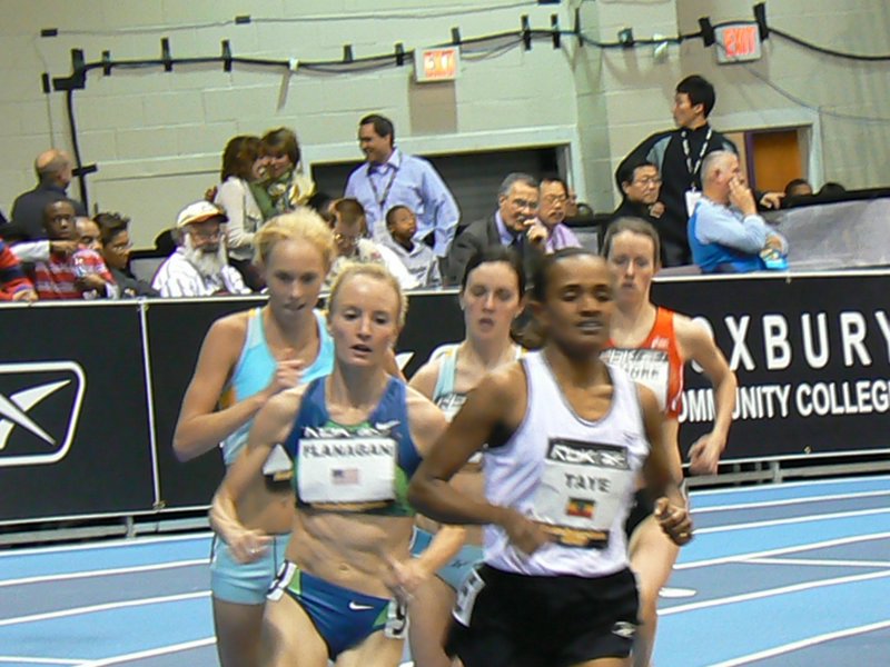 P1000664.JPG