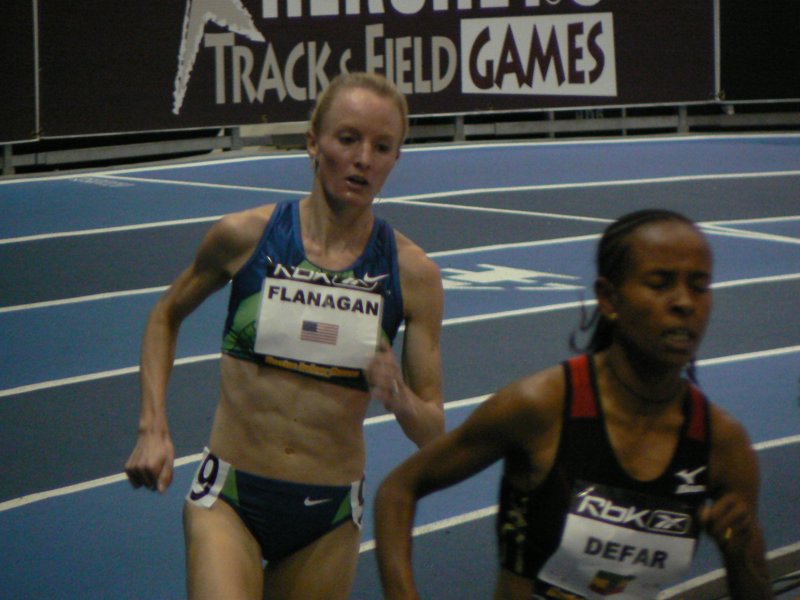P1000676.JPG