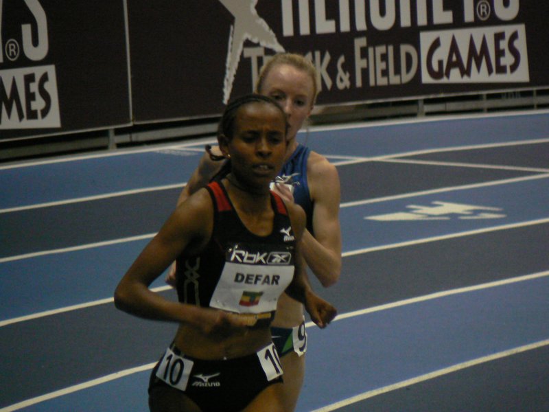 P1000681.JPG
