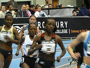 P1000508.JPG