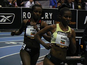 P1000522.JPG