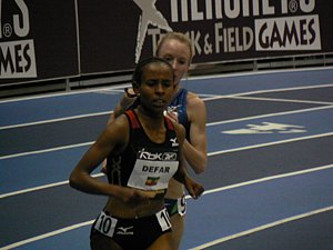 P1000681.JPG
